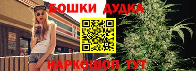 сатива Можга