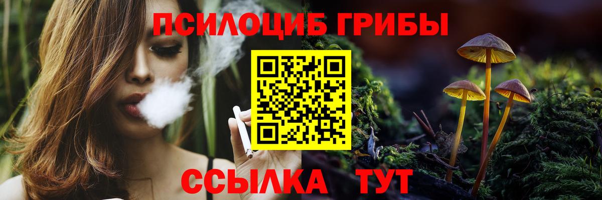 Псилоцибиновые грибы мухоморы Тверь